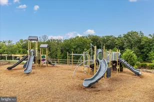 6035 Fallfish, New Market, MD 21774 - Photo 59