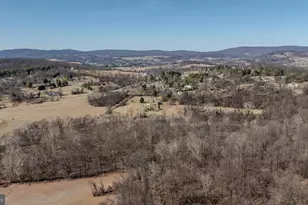 3919 Wistman Ln, Myersville, MD 21773 - Photo 111