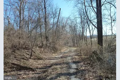 0 Park Mills Road, Adamstown, MD 21710 - Photo 7
