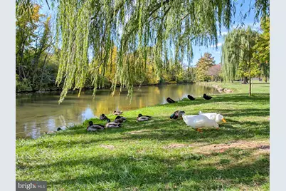 717 Motter Avenue, Frederick, MD 21701 - Photo 65