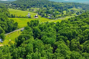 17224 Sabillasville Rd, Sabillasville, MD 21780 - Photo 85