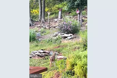 13533 Catoctin Hollow, Thurmont, MD 21788 - Photo 69