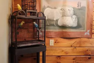 13533 Catoctin Hollow, Thurmont, MD 21788 - Photo 25