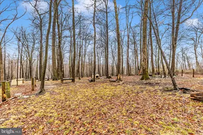 13533 Catoctin Hollow, Thurmont, MD 21788 - Photo 63