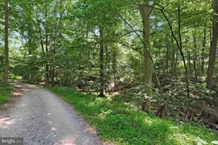 10138 Stonecat Mews, New Market, MD 21774 - Photo 63