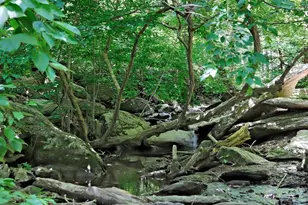 10138 Stonecat Mews, New Market, MD 21774 - Photo 83