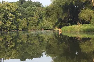 10138 Stonecat Mews, New Market, MD 21774 - Photo 69