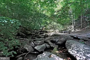 10138 Stonecat Mews, New Market, MD 21774 - Photo 65