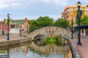 313 W College Terrace, Frederick, MD 21701 - Photo 113