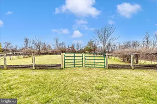 8708 Reichs Ford Rd, Frederick, MD 21704 - Photo 71