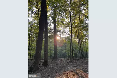 13533 Catoctin Hollow, Thurmont, MD 21788 - Photo 71