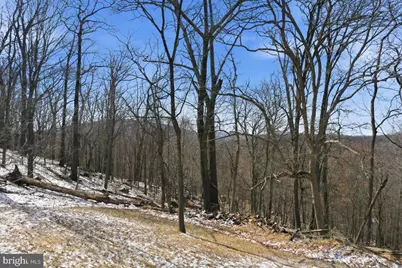 1629 Dahlgren Road, Middletown, MD 21769 - Photo 45