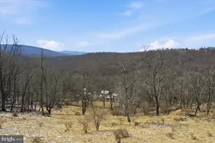 1629 Dahlgren Rd, Middletown, MD 21769 - Photo 51