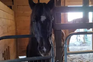 6735 Burkittsville Rd, Middletown, MD 21769 - Photo 15