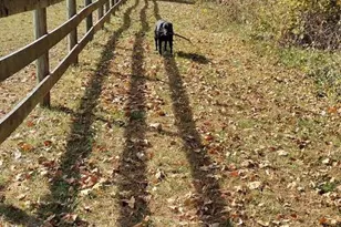 6735 Burkittsville Rd, Middletown, MD 21769 - Photo 19