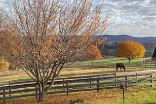 6735 Burkittsville Rd, Middletown, MD 21769 - Photo 21