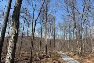 Middle Point Rd, Myersville, MD 21773 - Photo 1