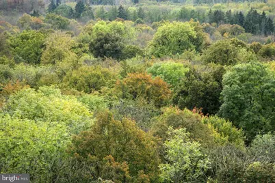 Brown Road, Smithsburg, MD 21783 - Photo 1