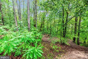 6838 Mountain Church Rd, Middletown, MD 21769 - Photo 47