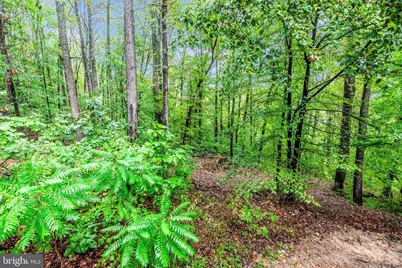 6838 Mountain Church Road, Middletown, MD 21769 - Photo 47