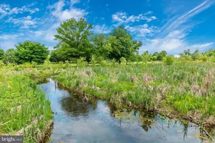 2 N 2nd St, Woodsboro, MD 21798 - Photo 27