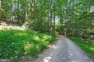 5941 Tomahawk St, New Market, MD 21774 - Photo 69