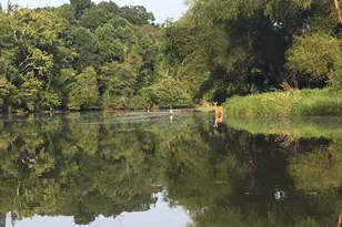 5941 Tomahawk St, New Market, MD 21774 - Photo 63