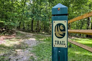 6806 Forest Park Ct, New Market, MD 21774 - Photo 9