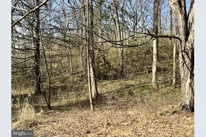 17310 Sunshine Trail, Sabillasville, MD 21780 - Photo 3