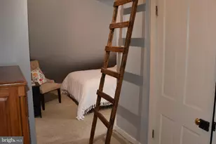 325 E 3rd St, Frederick, MD 21701 - Photo 31