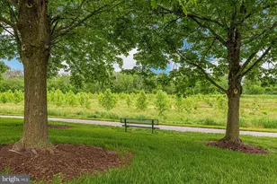 8246 Black Haw Ct, Frederick, MD 21701 - Photo 57