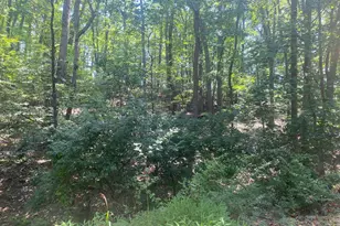 7125 Edgemont Rd, Frederick, MD 21702 - Photo 25
