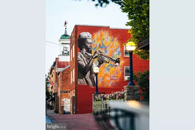 232 Dill Avenue, Frederick, MD 21701 - Photo 43