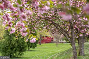 301 W 7th St, Frederick, MD 21701 - Photo 5