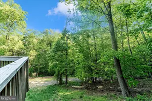 5019 Old Swimming Pool Rd, Frederick, MD 21703 - Photo 93