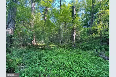 Edgemont Road, Frederick, MD 21702 - Photo 5