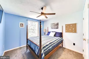 511 Hollyberry Way, Frederick, MD 21703 - Photo 15