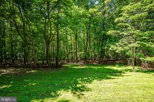 4420 Highboro Dr, Mount Airy, MD 21771 - Photo 43