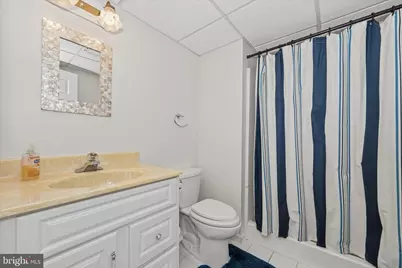 13457 Old Annapolis, Mount Airy, MD 21771 - Photo 53