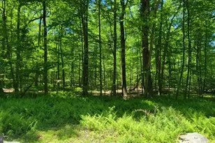 Mink Farm Rd, Thurmont, MD 21788 - Photo 1