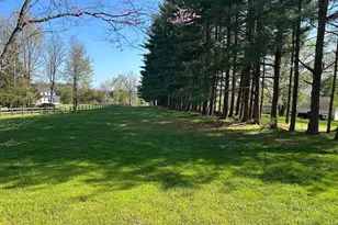 8730 Mapleville, Mount Airy, MD 21771 - Photo 79