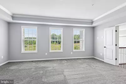 4521 Arboretum Drive, Monrovia, MD 21770 - Photo 41