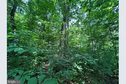 .30+/- Acres W Potomac St, Brunswick, MD 21716 - Photo 9