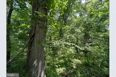 .30+/- Acres W Potomac St, Brunswick, MD 21716 - Photo 5