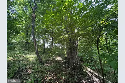 .30+/- Acres W Potomac St, Brunswick, MD 21716 - Photo 7
