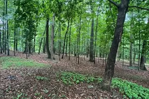 9810 Woodsboro Rd, Frederick, MD 21701 - Photo 9
