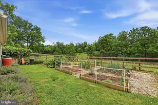 10919 Etzler Mill Rd, Woodsboro, MD 21798 - Photo 51