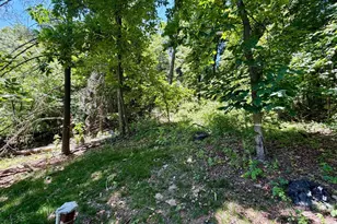 10121 Putman Rd, Frederick, MD 21702 - Photo 19