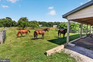 3160 Sumantown Rd, Middletown, MD 21769 - Photo 109
