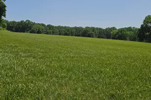 7900 Old Receiver Rd, Frederick, MD 21702 - Photo 23
